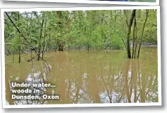  ?? ?? Under water... woods in Dunsden, Oxon