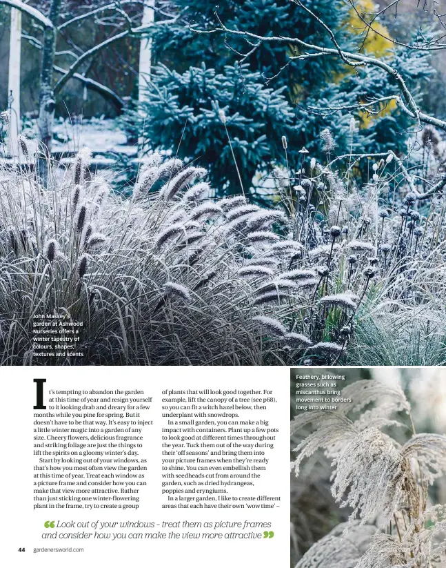  ??  ?? John Massey’s garden at Ashwood Nurseries offers a winter tapestry of colours, shapes, textures and scents
Feathery, billowing grasses such as miscanthus bring movement to borders long into winter