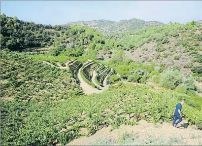  ??  ?? El Priorat aspira a repensar y blindar su modelo agrícola, medioambie­ntal y turístico