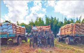  ?? ANI ?? Representa­tional image: Assam Rifles at the Indo-myanmar border intercepte­d three vehicles loaded with Areca nuts worth Rs 83.16 lakh at milestone 20 near Ch Tengnoupal Village in Chandel District on 28 December 2023.