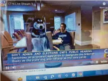  ?? Ken Dixon/Hearst Connecticu­t Media ?? Jonathan XV, UConn's mascot, appeared in a video testimony on Friday before the legislatur­e's Government Administra­tion & Elections Committee, along with UConn student Laura Centanni.