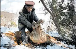  ?? WONG MAYE-E/AP 2015 ?? A North Korean villager digs up a sack that he says holds the remains of a soldier who fought in the KoreanWar.