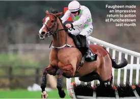  ??  ?? Faugheen made an impressive return to action at Punchestow­n last month