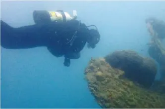  ?? ELENA BECATOROS/THE ASSOCIATED PRESS ?? Maritime ecologist Derek Smith examines sponge coral growing on an Italian Second World War ship.