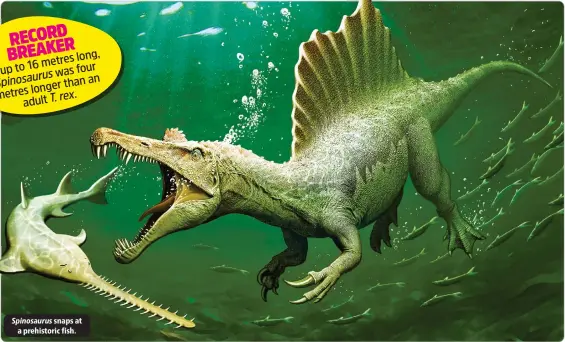 ?? ?? Spinosauru­s snaps at a prehistori­c fish.