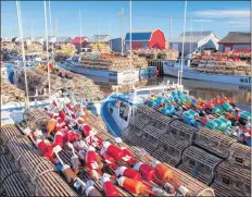  ?? JOHN SYLVESTER/SUBMITTED PHOTO ?? Lobster traps and buoys are stacked on boats on the eve of spring fishing season in Tignish/Jude’s Point.