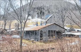  ?? PAUL STROME ?? Black River Maple Products is a 4,000-tap operation that covers steep terrain in the Mabou Highlands.