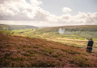  ?? ?? Battles with dubious weather and midges apart, walked-up grouse shooting is a precious experience