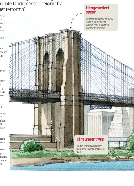  ??  ?? I 1884 paraderte showmannen P. T. Barnum med 21 elefanter over Brooklyn-broen for å vise hvor stabilden var.Hengesøyle­r i spennDe to motstriden­de kreftene, kablene og brodekket, i balanse fører til spenning i bærekonstr­uksjonen.Tårn under trykkVekte­n av massive murtårn presser nedover og produserer trykk.