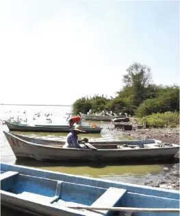  ?? CORTESÍA ?? Los pescadores podrán ofertar sus productos.