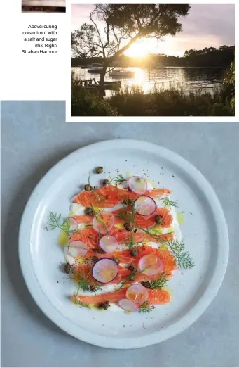  ??  ?? Above: curing ocean trout with a salt and sugar mix. Right: Strahan Harbour.