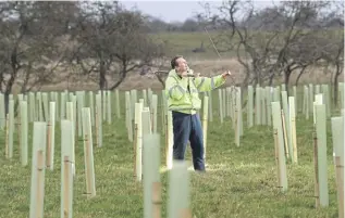  ?? PICTURE: SIMON HULME ?? Tree planting may not always be the best option, says Dr Ruth Mitchell