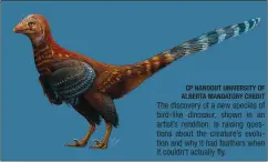  ?? CP HANDOUT UNIVERSITY OF ALBERTA MANDATORY CREDIT ?? The discovery of a new species of bird-like dinosaur, shown in an artist’s rendition, is raising questions about the creature’s evolution and why it had feathers when it couldn’t actually fly.
