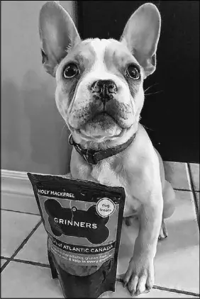  ?? COLLEEN O’DEA PHOTO ?? Robin Anthony’s grand-dog, Artichoke, poses with a pack of the treats, made by Anthony and sold under the name Grinners Dog Treats.