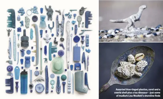  ??  ?? Assorted blue-tinged plastics, coral and a cowrie shell plus a toy dinosaur – just some of mudlark Lisa Woollett’s shoreline finds