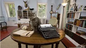  ??  ?? Un gato se sienta en una mesa de escritura que alguna vez usó Ernest Hemingway.