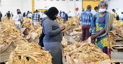  ?? — ?? Ms Pauline Maronga (left) and Ms Kudzai Butau calculate their earnings after their tobacco went under the hammer at Tobacco Sales Floor following the official opening of the auction floors in Harare yesterday. Picture: Tawanda Mudimu