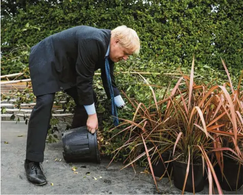  ?? Foto: Neil Hall/WPA Pool, Getty Images ?? Upps, wieder was umgefallen im Vereinigte­n Königreich: Boris Johnson vor wenigen Tagen beim Besuch einer Baumschule.