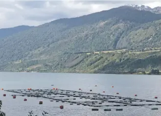  ?? /
AGENCIA UNO ?? Salmoneras como estas se ubican en las zonas que habían sido solicitada­s.