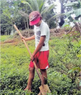  ?? CARLOS HERNÁNDEZ ?? Jorge Álvarez Altamirano labora de lunes a domingo. Por su trabajo, recibe ¢10.000 semanales para ayudar a su madre.