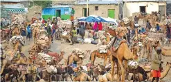  ??  ?? AFAR IRDOOD, Ethiopia: The salt market in Berhale town in northern Afar, Ethiopia, is pictured.—AFP photos