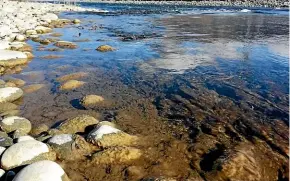  ??  ?? Tame Malcolm’s work has included increasing awareness of didymo, the invasive river weed that attaches itself to rocks.