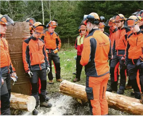  ?? Foto: Archiv/elena Kretschmer ?? Weil bald nur noch 40 statt 100 Forstwirte pro Jahr ausgebilde­t werden sollen, könnte auch die Schließung des FBZ in stehen.
Itzelberg zur Debatte