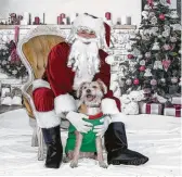  ?? Photo courtesy of Sonya Sofranko ?? The first annual Photos With Santa &amp; Paws was held at K-9 Angels Rescue in the Heights.