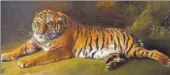  ?? COURTESY: BLENHEIM PALACE. ?? George Stubbs' painting from life of the Bengal tiger in the late 18th century.