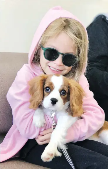  ?? — THE ASSOCIATED PRESS ?? Dolly, a Cavalier King Charles Spaniel, receives hugs and moral support from Ella Karger before seeing the veterinari­an. Puppies are fun and rewarding and become instant family members, but nothing comes without a price.