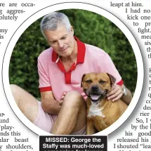  ?? ?? MISSED: George the Staffy was much-loved companion for lawyer
