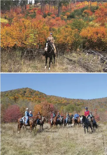  ??  ?? TOP: “All of our trails are through the woods and have a vibrant show of fall colors,” says Erin Boyd, horse program manager for Mountain Springs Lodge in Leavenwort­h, Washington. “The mild weather and amazing fall colors make it my absolute favorite...