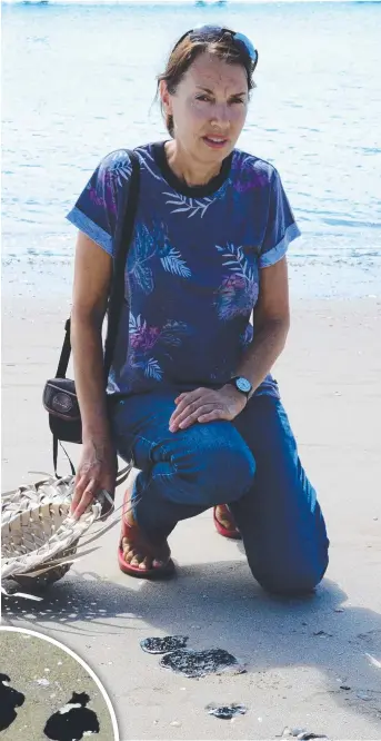  ?? Pictures: JOSHUA WELLS ?? BLACK SPOT: Sydneyside­r Margot Lindner inspects the oil washed up on Lucinda beach.