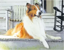  ??  ?? Popular character Lassie was portrayed as a remarkable pup.