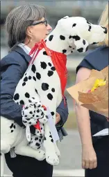  ??  ?? Walkies… an aide with the stuffed toy dog