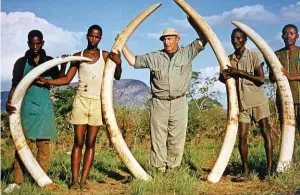  ??  ?? Philippe with his two pairs of Selous elephant tusks.
