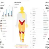  ?? ?? Un’immagine da Noisefeed Injuries dove si evidenzian­o le zone del corpo più soggette a infortunio di un singolo giocatore