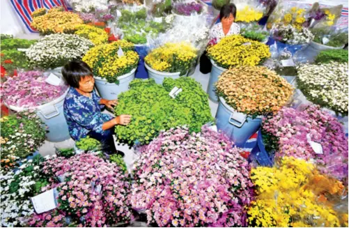  ??  ?? China has a big market for cut flowers