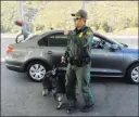  ?? Elliot Spagat ?? The Associated Press A Border Patrol agent stops a vehicle at a checkpoint on Dec. 14 in Pine Valley, Calif.