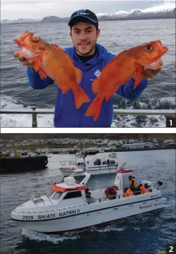  ??  ?? 1 2 1. Les sébastes étaient bien présentes. 2. L’un des quatorze bateaux sur lesquels les compétiteu­rs s’affrontaie­nt. 3. Nous avons oscillé entre leurres et pêche aux appâts naturels.