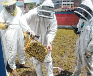  ?? CDM CONTRIBUTE­D PHOTO ?? Beekeepers give a demonstrat­ion during a previous Honey Harvest at the Creative Discovery Museum.