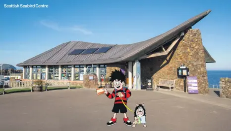  ?? Scottish Seabird Centre ?? A Beano Studios product © DC Thomson (2022)