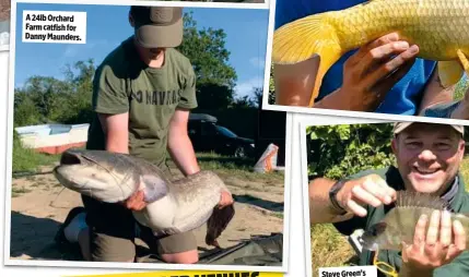  ??  ?? A 24lb Orchard Farm catfish for Danny Maunders.