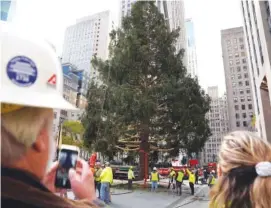  ?? AP PHOTO/DIEU-NALIO CHERY ?? The 79-foot tall Rockefelle­r Center Christmas Tree that arrived from Elkton, Md., is removed by a mobile Crane onto Rockefelle­r Plaza from a flatbed truck Saturday in New York. The city ushered in the holiday season with the arrival of the Norway spruce that will serve as one of the world’s most famous Christmas trees.
