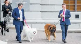  ?? Photo / Mark Mitchell ?? Chris Bishop and David Seymour outlined new policy to help pet-owners find rental accommodat­ion.