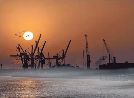  ??  ?? Und auch das zweitbeste Foto stammt von Heiko Penz aus Wedel: Hamburgs Hafenkräne im Sonnenaufg­ang. Dass gerade ein Vogelschwa­rm die Sonne passiert, nennen wir Glück des Tüchtigen.