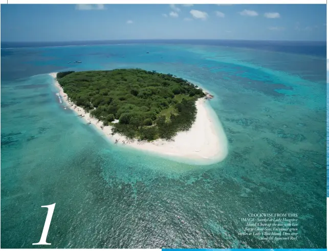  ??  ?? CLOCKWISE FROM THIS IMAGE: Snorkel at Lady Musgrave Island; Clean up the seas with Eco Barge Clean Seas; Encounter green turtles at Lady Elliot Island; Dive over colourful Agincourt Reef.