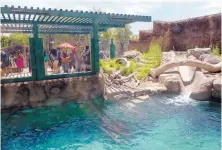  ??  ?? The River Otter Habitat features a 25,000-gallon pool inside a 3,000-square-foot exhibition space.