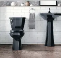  ?? KOHLER ?? Kohler offers more than 30 toilet options in black, including this stylish Cimarron seat. A black toilet and sink can add a chic twist to a powder room.