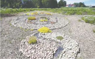  ??  ?? Au jardin ethnobotan­ique sont mises en vedette des plantes destinées à la fabricatio­n de tissus et de teintures et pour l’aménagemen­t paysager.